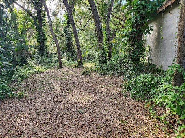 view of nature featuring a wooded view