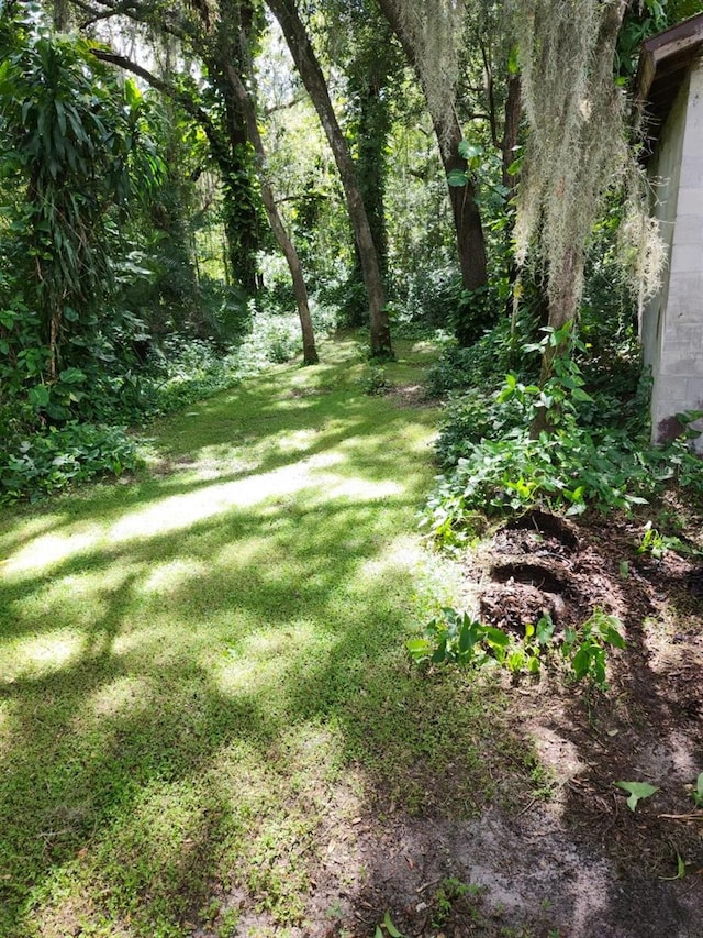 4450 Old Berkley Rd, Auburndale, FL 33823 - view of green lawn