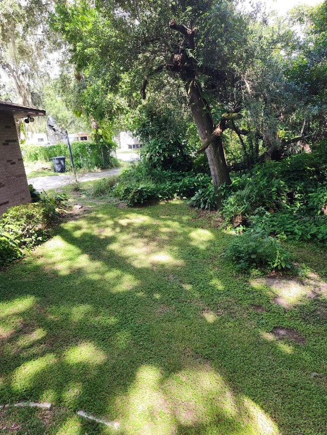 4450 Old Berkley Rd, Auburndale, FL 33823 - view of green lawn