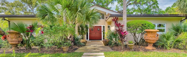 view of exterior entry with stucco siding