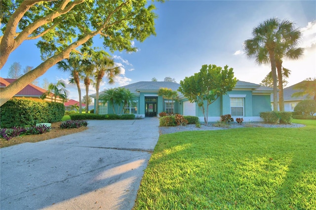 ranch-style home with a front yard