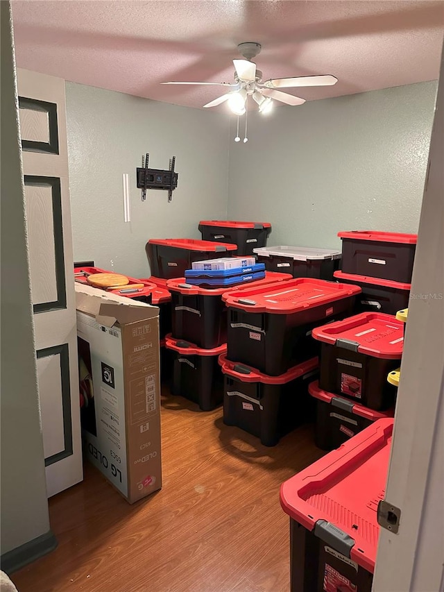 storage with ceiling fan