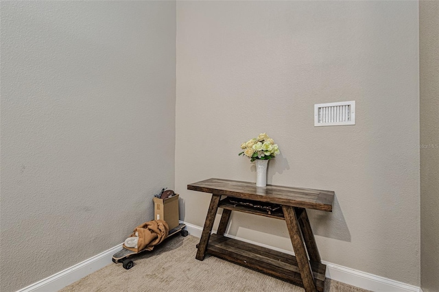 interior details featuring light colored carpet