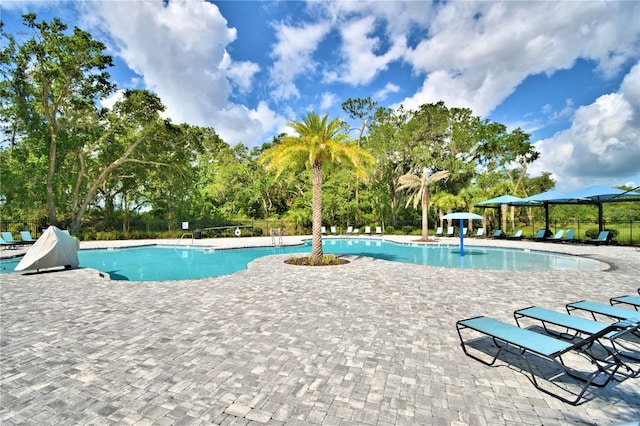 view of swimming pool featuring a patio