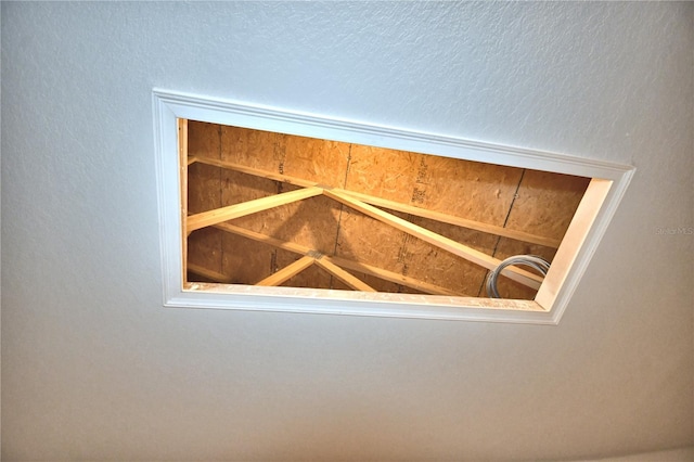 details featuring a textured ceiling