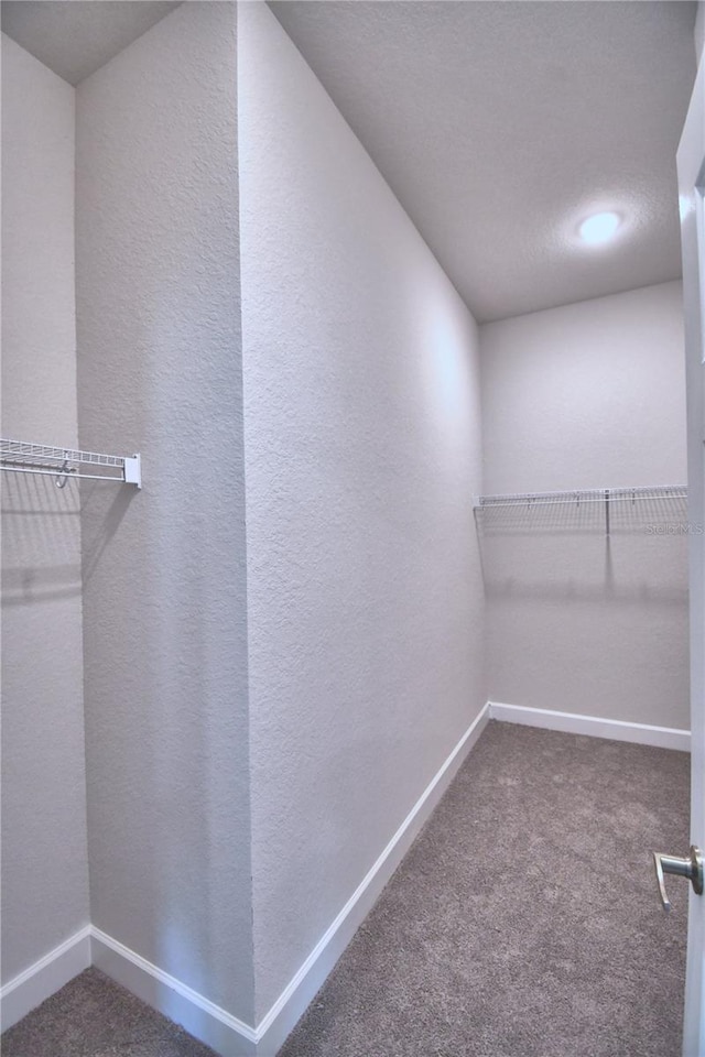 walk in closet with dark colored carpet