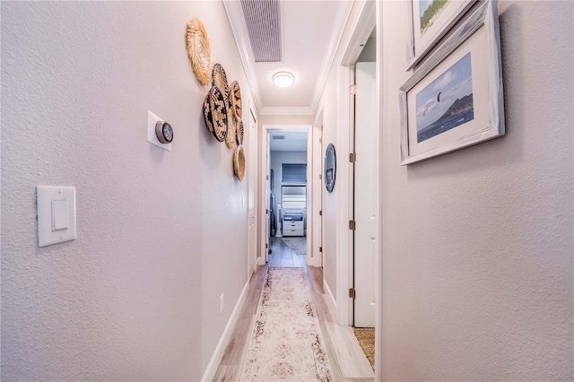 hallway featuring light tile floors and crown molding