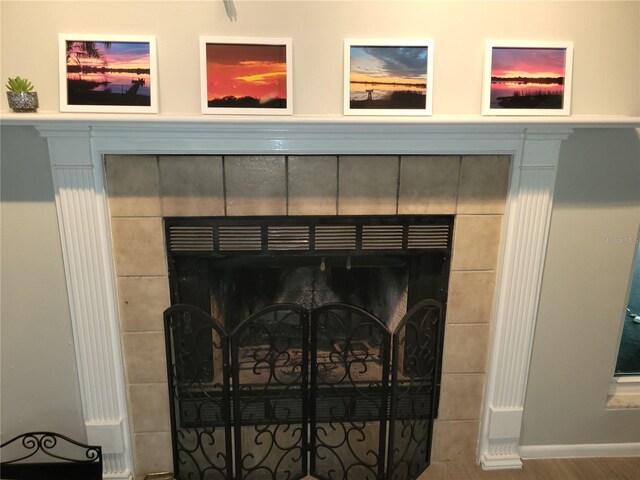 room details featuring hardwood / wood-style flooring and a fireplace