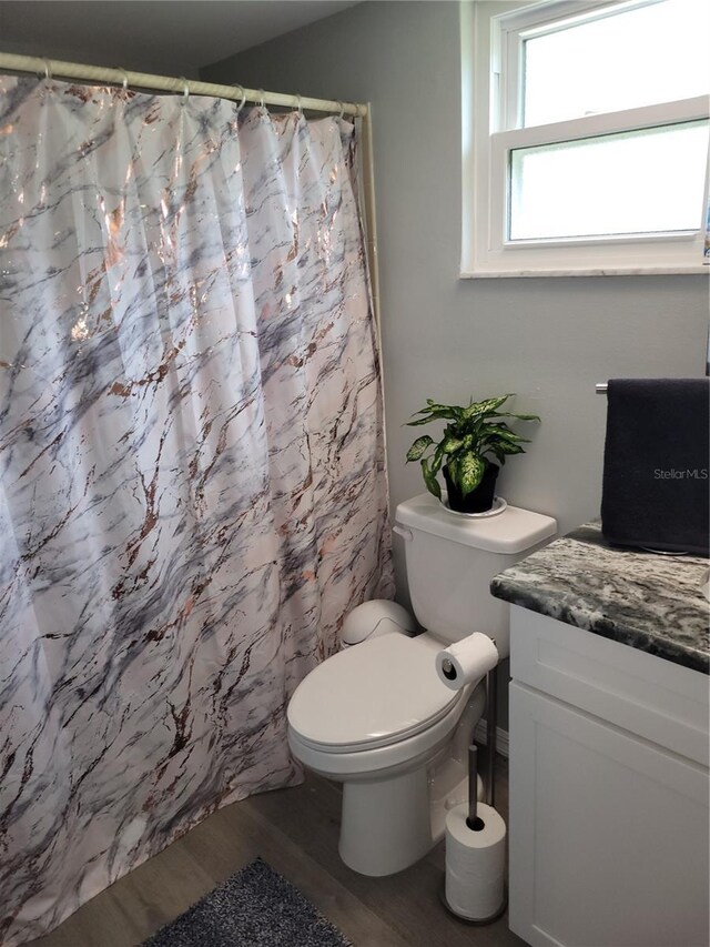 bathroom featuring hardwood / wood-style flooring, vanity, and toilet