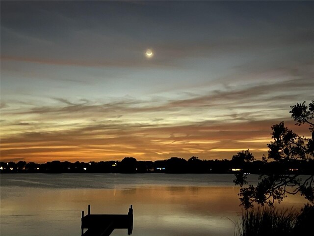 property view of water with a boat dock