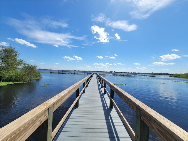 dock area with a water view