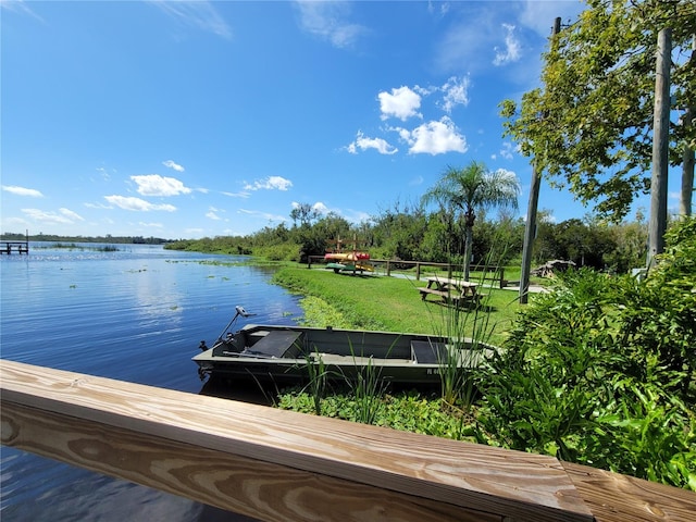 dock area with a water view