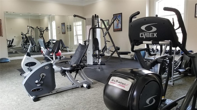 gym featuring ornamental molding