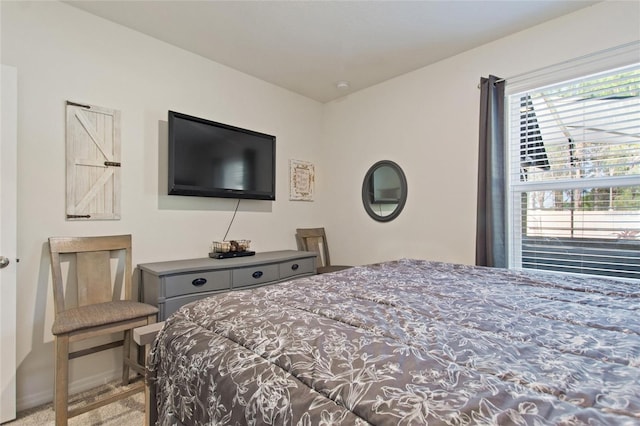 bedroom with light colored carpet