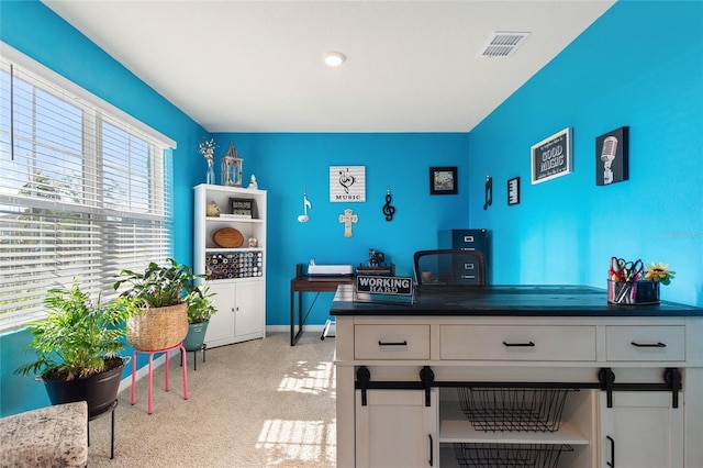 office featuring light colored carpet