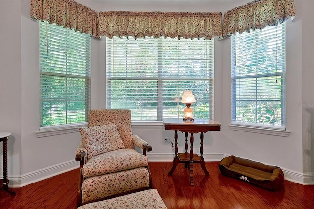 sitting room with dark hardwood / wood-style flooring