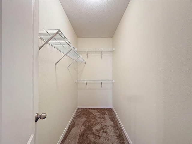 spacious closet with carpet