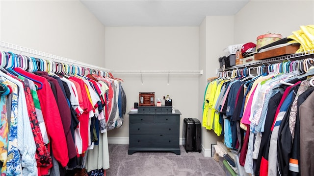 walk in closet with carpet