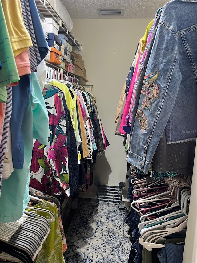 view of walk in closet