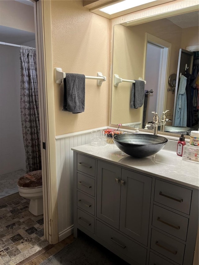 bathroom featuring vanity, toilet, and walk in shower