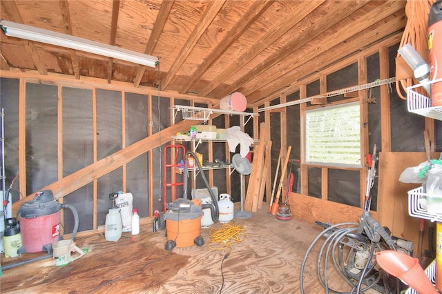 miscellaneous room with lofted ceiling