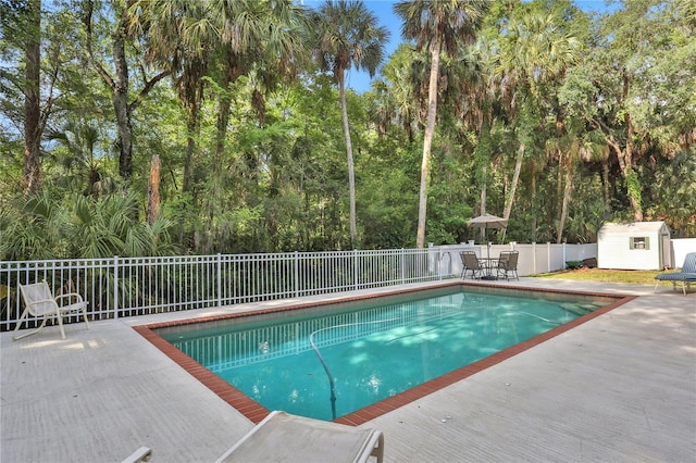 8608 Poinsettia Dr, Temple Terrace, FL 33637 - view of pool with a patio area and an outdoor structure