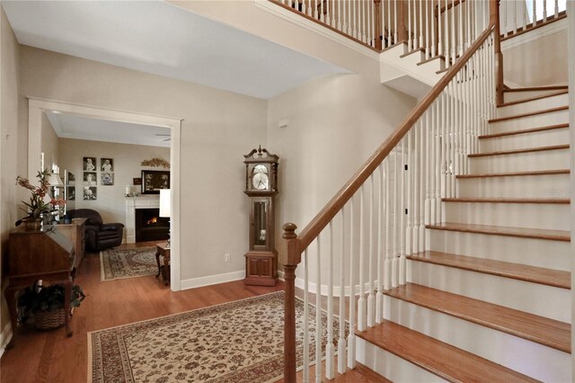 8608 Poinsettia Dr, Temple Terrace, FL 33637 - stairs with hardwood / wood-style flooring