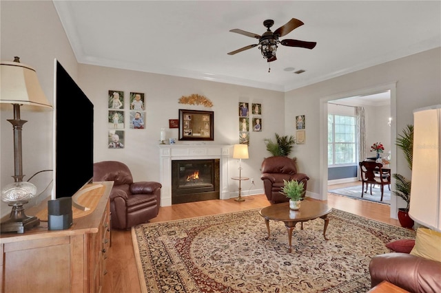8608 Poinsettia Dr, Temple Terrace, FL 33637 - living room featuring ornamental molding, wood-type flooring, and ceiling fan