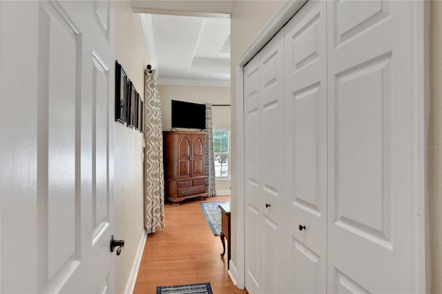 8608 Poinsettia Dr, Temple Terrace, FL 33637 - corridor featuring a tray ceiling, crown molding, and light wood-type flooring
