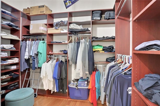 8608 Poinsettia Dr, Temple Terrace, FL 33637 - spacious closet with hardwood / wood-style floors