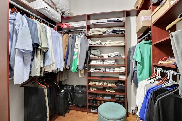 8608 Poinsettia Dr, Temple Terrace, FL 33637 - walk in closet with light wood-type flooring