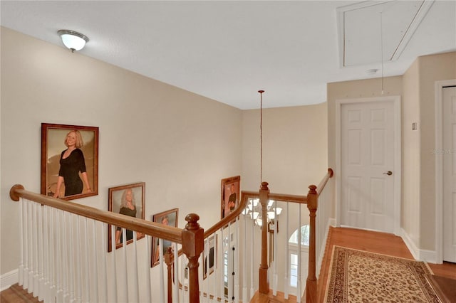 8608 Poinsettia Dr, Temple Terrace, FL 33637 - hallway featuring hardwood / wood-style floors