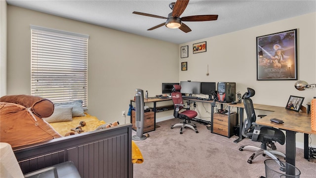 carpeted office space with ceiling fan and a textured ceiling