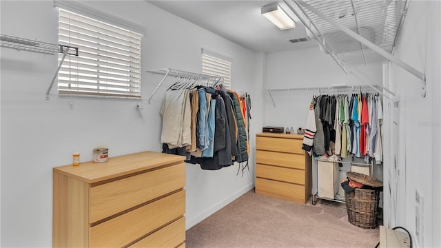 spacious closet with carpet