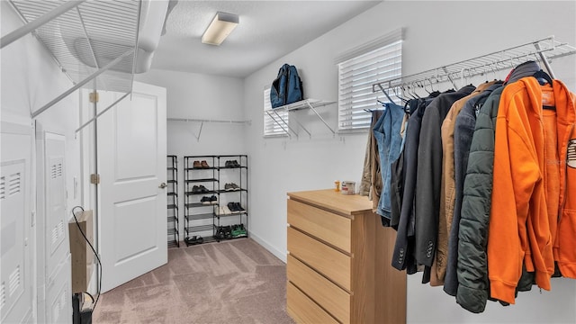 walk in closet featuring carpet flooring