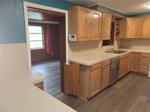 kitchen featuring dishwasher, sink, backsplash, and dark hardwood / wood-style floors