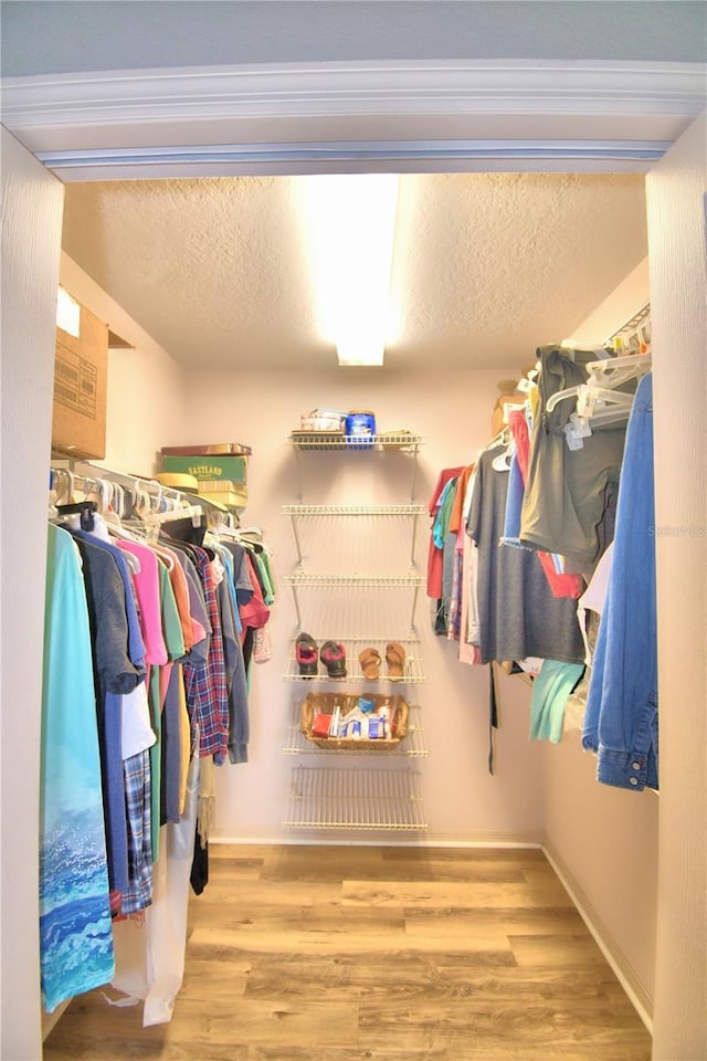 walk in closet with light wood finished floors