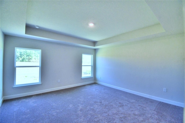 carpeted empty room with a raised ceiling and a wealth of natural light