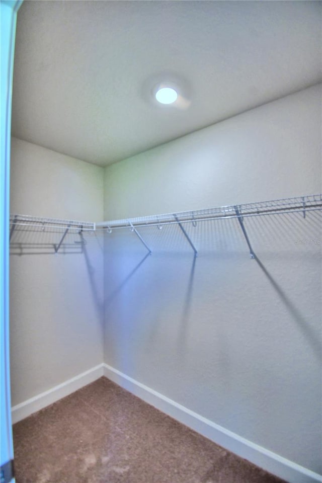 spacious closet featuring carpet floors