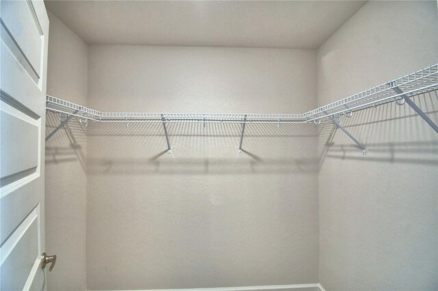 4073 Tullamore Ln, Auburndale, FL 33823 - photo 28