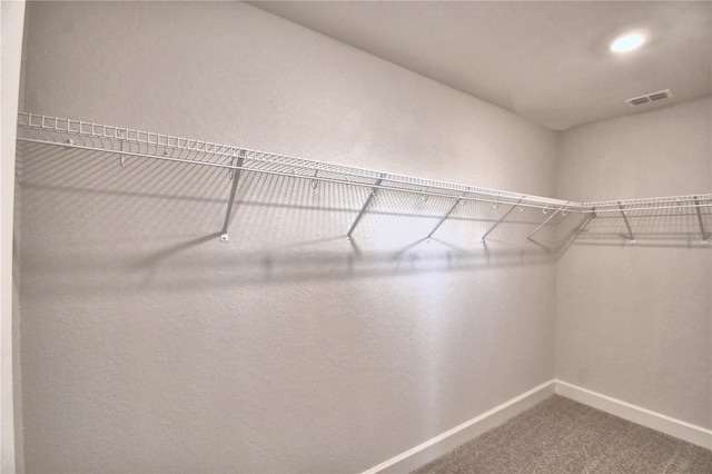 spacious closet with carpet