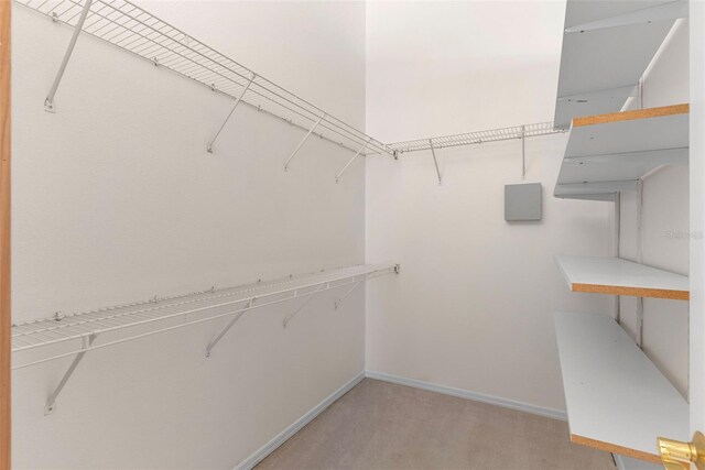 view of walk in closet