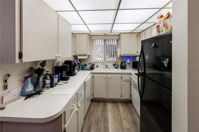 kitchen featuring sink, white appliances, light hardwood / wood-style flooring, a paneled ceiling, and cream cabinets