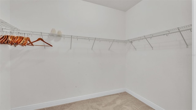 spacious closet featuring carpet floors