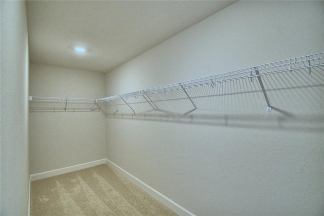 walk in closet with light carpet