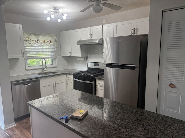 kitchen with appliances with stainless steel finishes, a sink, white cabinets, and under cabinet range hood