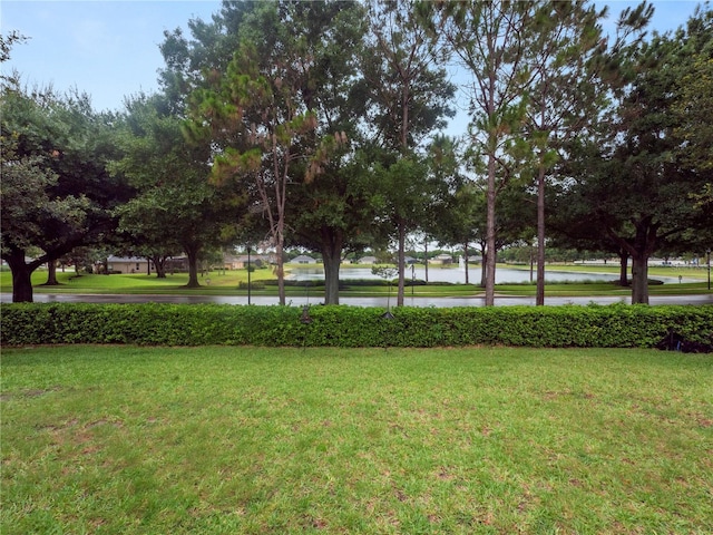 view of home's community with a water view and a lawn