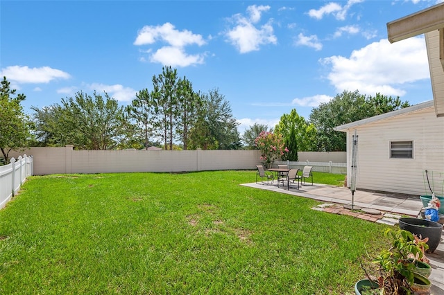 view of yard featuring a patio area