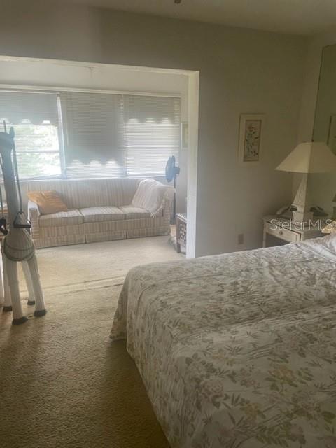 bedroom featuring carpet flooring