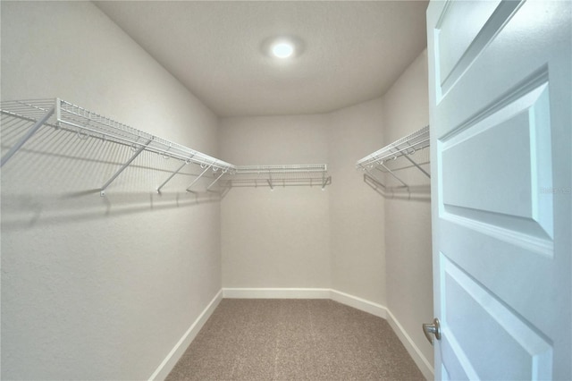 spacious closet with carpet